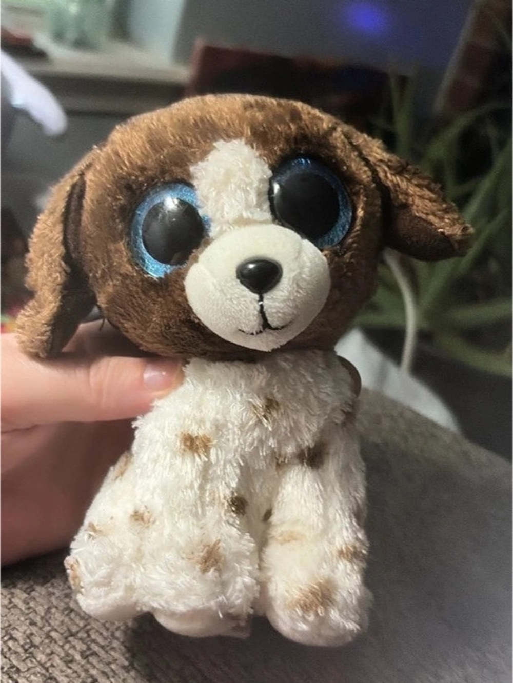 Ty Muddles the Dog Brown & White Plush Puppy